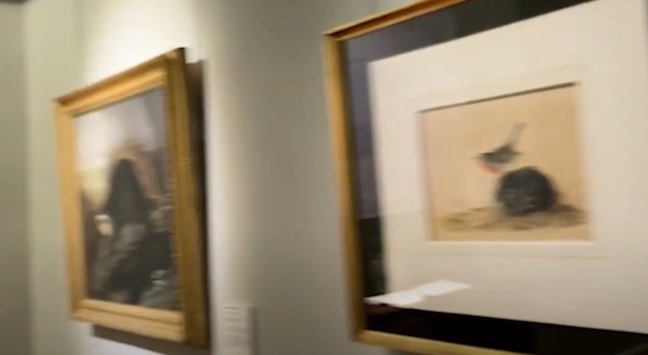 Victoria Gallery & Museum